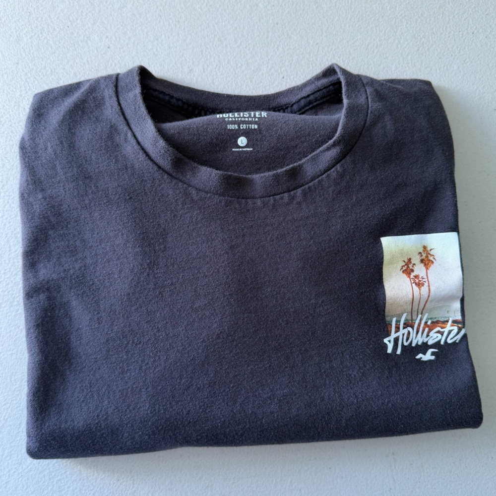 Hollister Men's Black Short Sleeve Tee with Palm Graphic